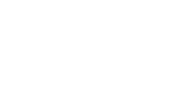 에볼루션 logo